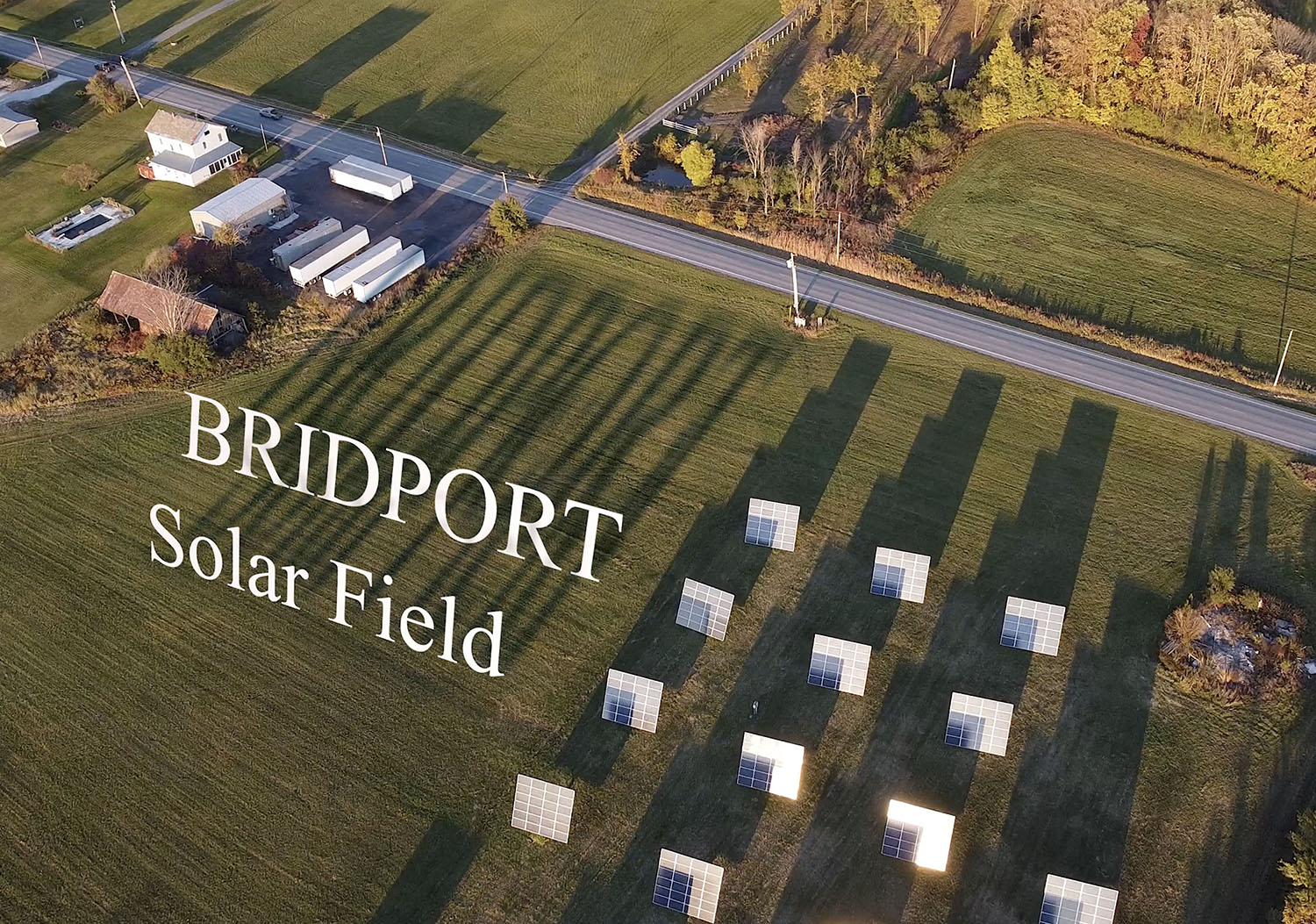 Bridport Solar Field